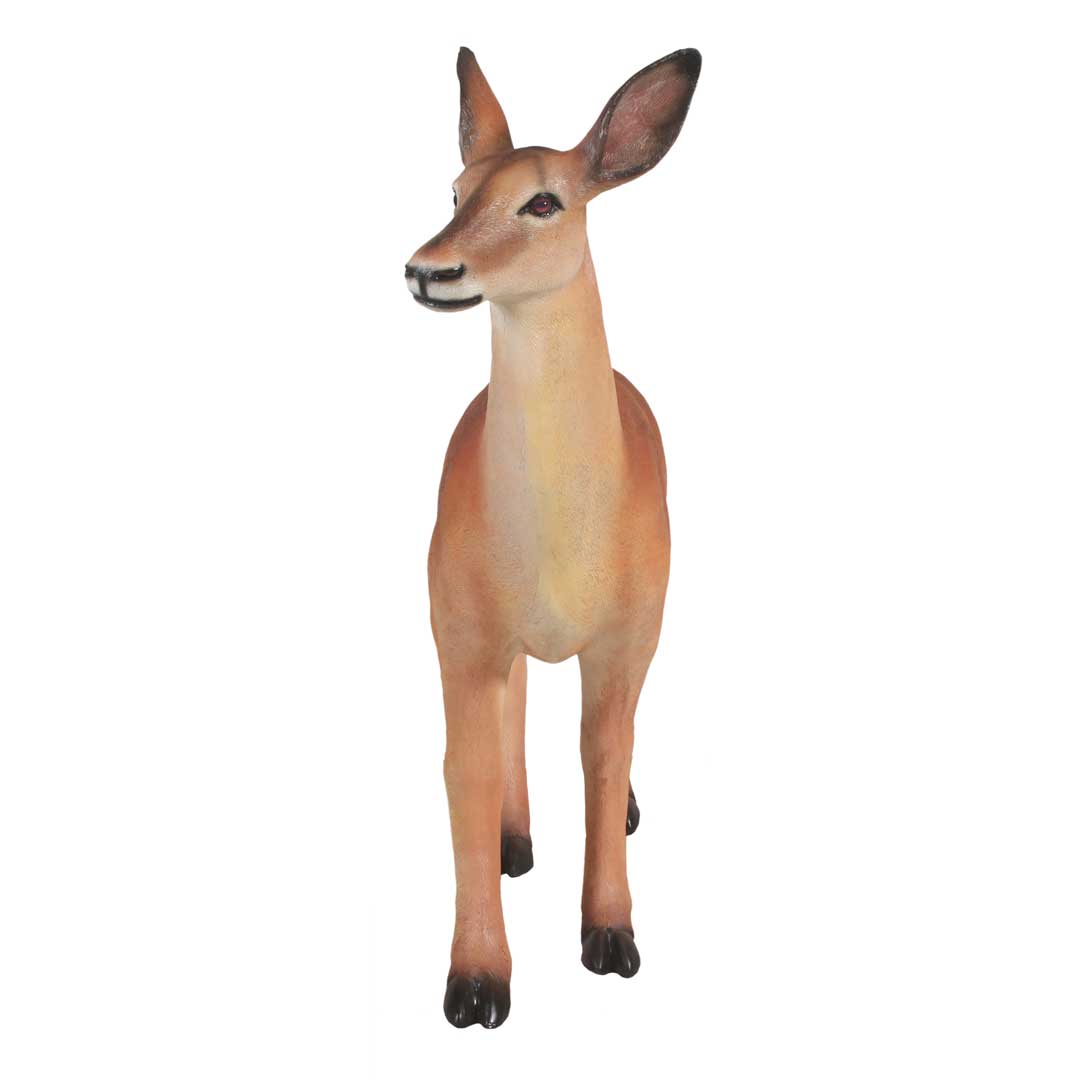 Polyester witstaarthertje (Hinde) 123 cm - Afbeelding 5