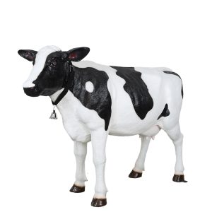 Levensgrote zwart-witte koe met halsbel