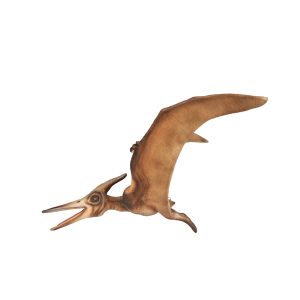 Pterosaur Wings-Up Edition