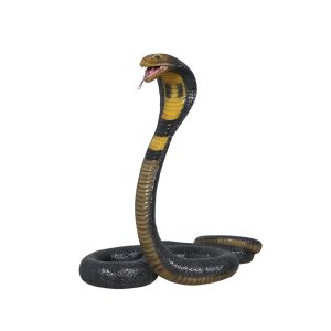 Cobra slang