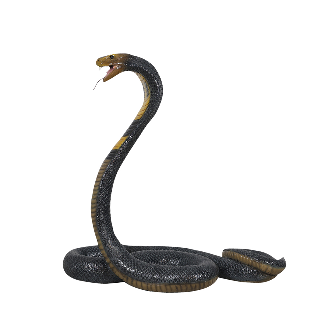 Cobra slang - Afbeelding 3
