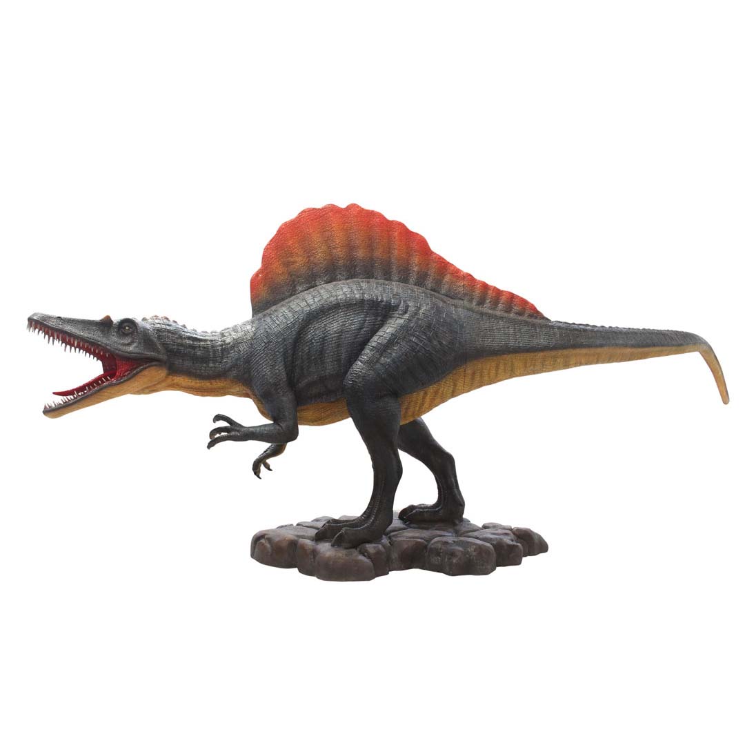 Spinosaurus 6.1 meter lang - Afbeelding 4