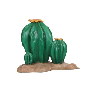 3 Cactussen