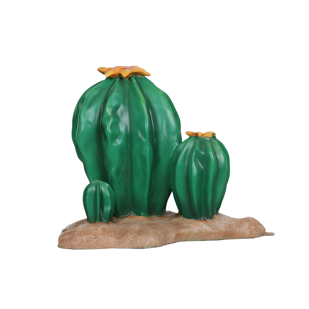 3 Cactussen
