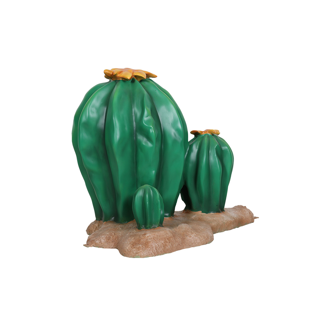 3 Cactussen - Afbeelding 5