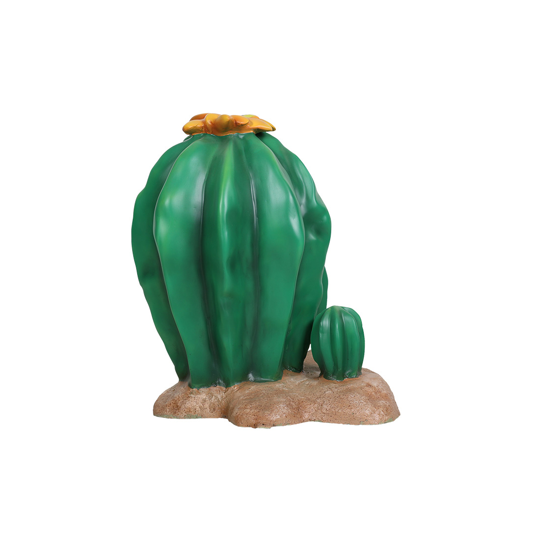 3 Cactussen - Afbeelding 4