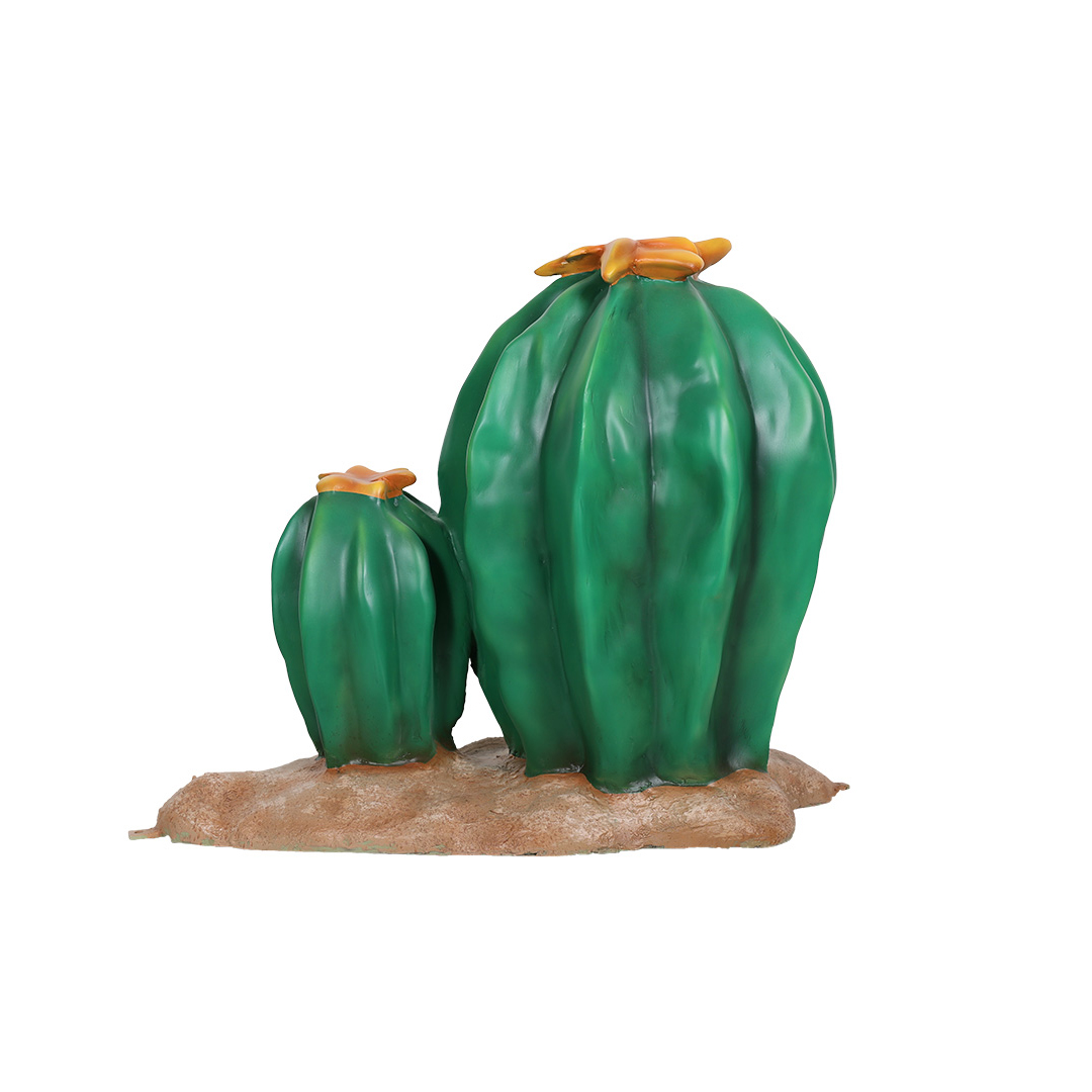 3 Cactussen - Afbeelding 3