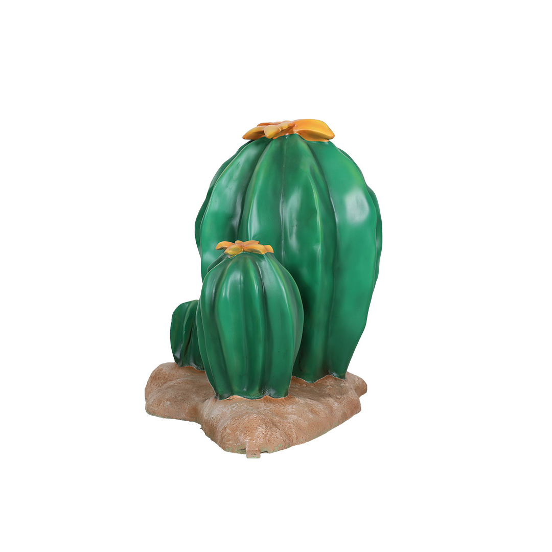 3 Cactussen - Afbeelding 2