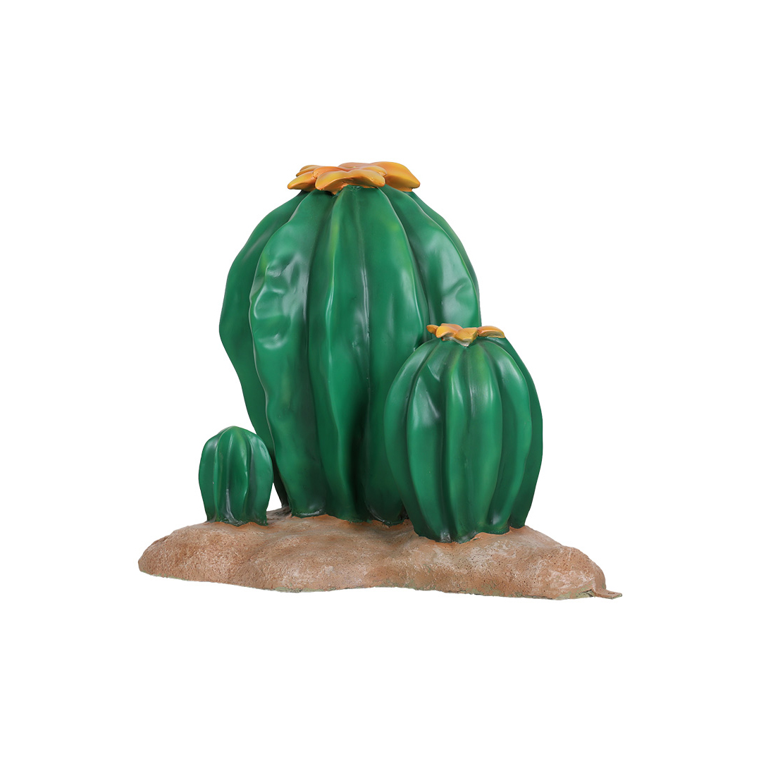 3 Cactussen - Afbeelding 6