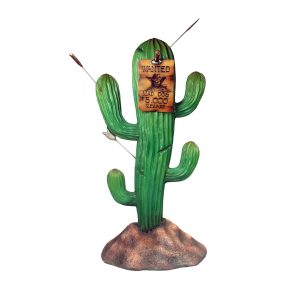 Cactus gezocht poster