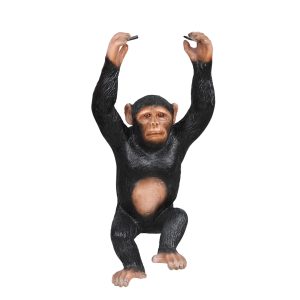 hangend aapje