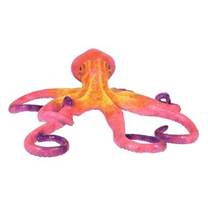regenboog octopus