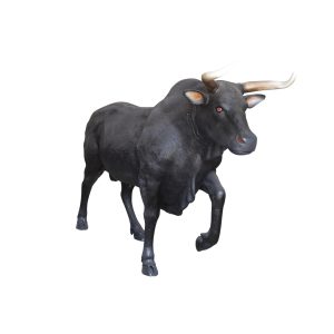 Rodeo stier