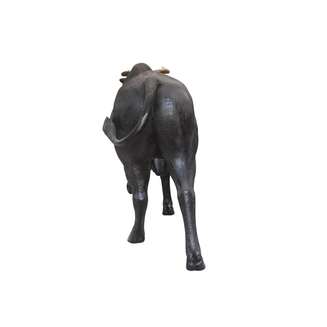 Rodeo stier - Afbeelding 2