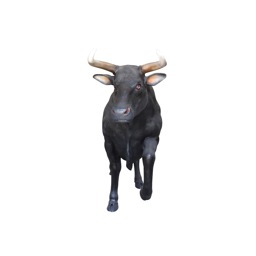 Rodeo stier - Afbeelding 3